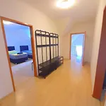 Steelcity Lägenhet *