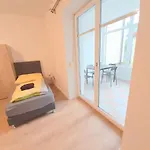 Steelcity Apartment